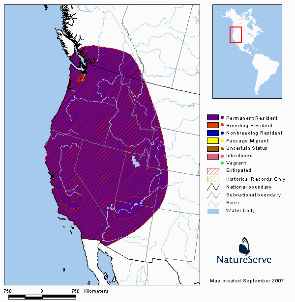 California Condor Range Map Comprehensive Report Species Gymnogyps Californianus