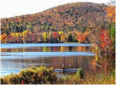 California Fall Color Map 43 Best Fall Foliage In Upstate New York Images Upstate New York