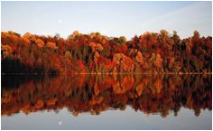 California Fall Color Map 43 Best Fall Foliage In Upstate New York Images Upstate New York