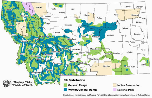 Colorado Elk Migration Map Elk Montana Field Guide