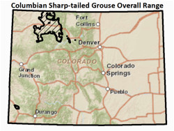 Colorado Elk Population Map Colorado Parks Wildlife Species Profiles