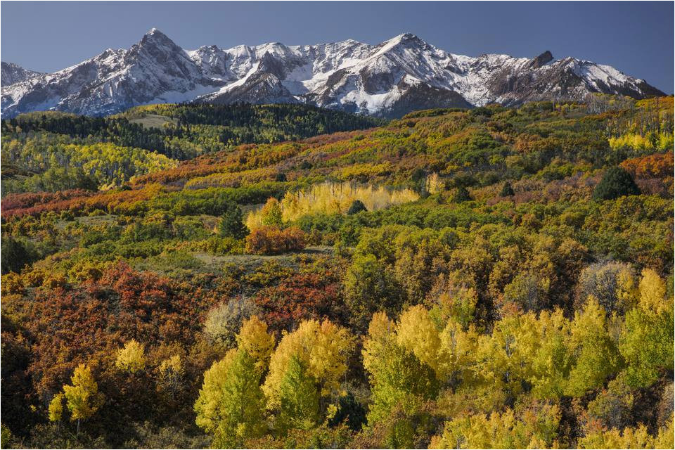 Colorado Fall Colors Map Tips to See Fall Foliage In Colorado