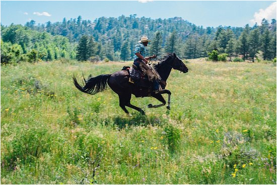 Livermore Colorado Map Cherokee Park Ranch Reviews Livermore Co Tripadvisor