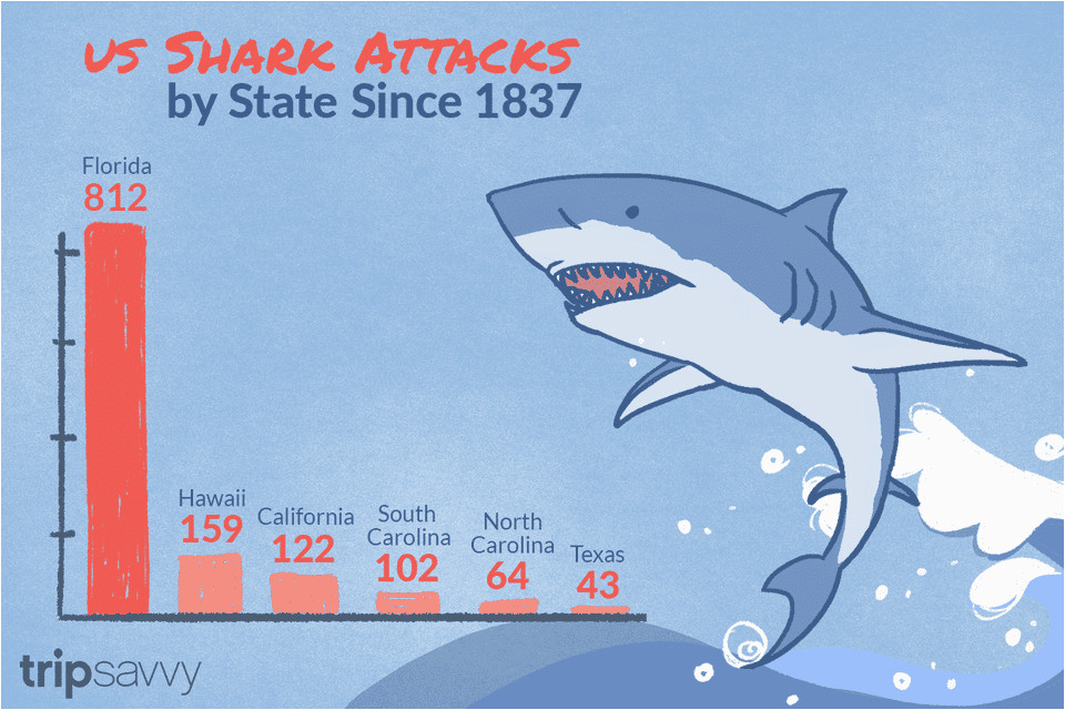 Shark attack Map California Shark attacks In the United States by State