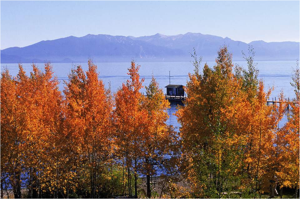 California Fall Foliage Map where to See Fall Color In the Lake Tahoe Region