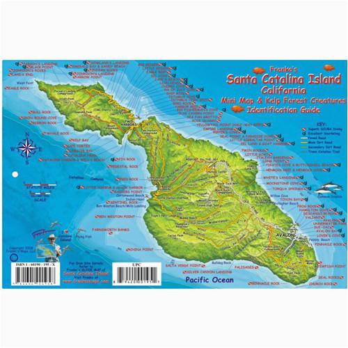 Catalina island Map California Franko Maps Santa Catalina island Fish Id Card