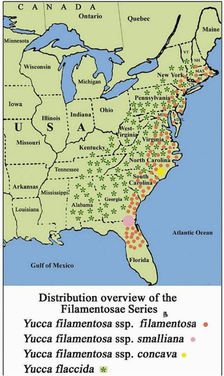 Fernald Ohio Map Fadige Palmlilie Wikiwand