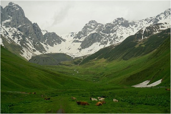 Kazbegi Georgia Map Juta Valley Aktuelle 2019 Lohnt Es Sich Mit Fotos