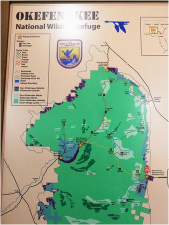 Map Of Suwanee Georgia Map Of area Picture Of Okefenokee National Wildlife Refuge