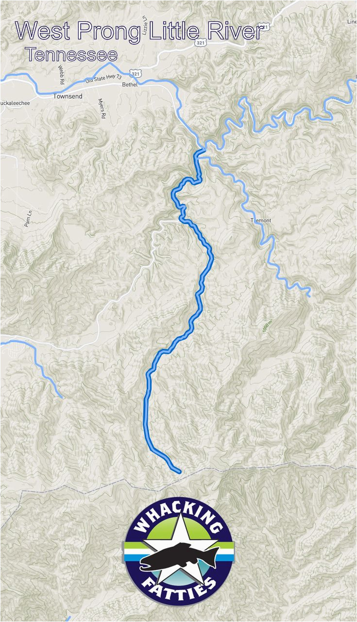 Fly Fishing Tennessee Map West Prong Little River Fishing Report Tennessee Fishing Reports