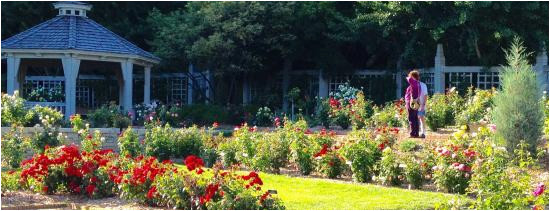 Minnesota Landscape Arboretum Map Rose Garden at Minnesota Landscape Arboretum Picture Of Minnesota