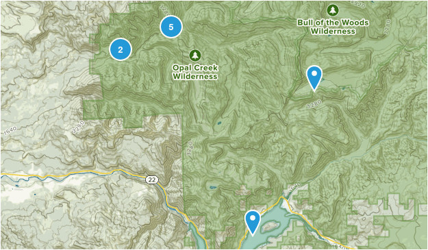 Opal Creek oregon Map Beste Wege In Opal Creek Wilderness oregon Alltrails