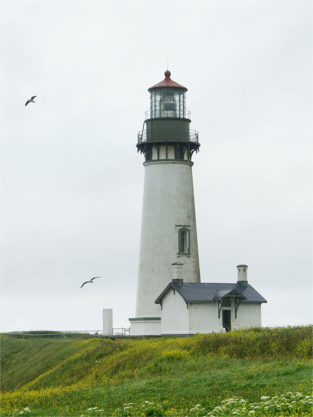 Oregon Lighthouse Map Yaquina Head Lighthouse oregon Usa Fabulous