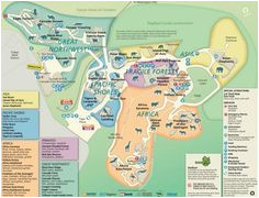 Oregon Zoo Map 17 Best oregon Zoo Images the Zoo Portland Zoo Zoos