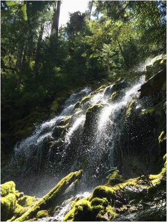 Proxy Falls oregon Map Upper Proxy Falls Picture Of Proxy Falls Sisters Tripadvisor