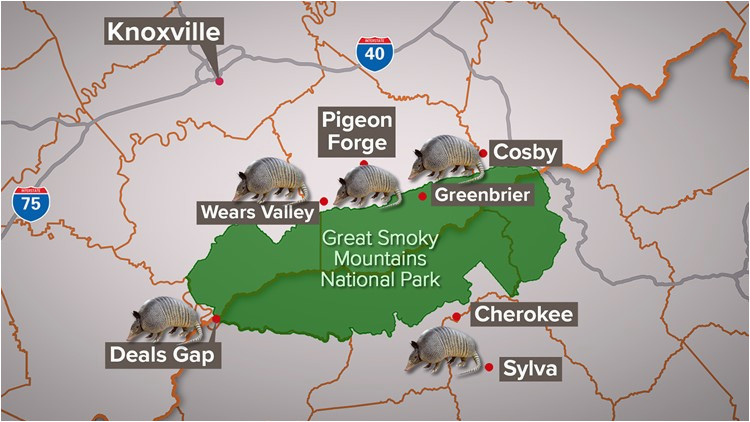 Wears Valley Tennessee Map Armadillos Spread In East Tn Surround Smokies Wbir Com