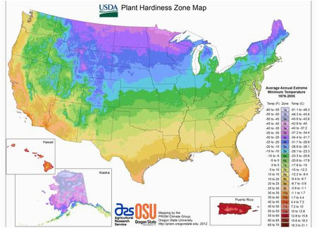 Growing Zones Map Minnesota State Maps Of Usda Plant Hardiness Zones