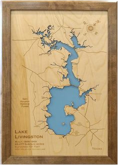 Luling Texas Map 12 Best Lake Livingston Images Livingston Livingstone Lakes