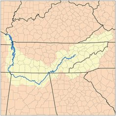 Map Of the Tennessee River 116 Best Tennessee River Images Tennessee River Tennessee Girls