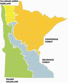 Minnesota Biomes Map 27 Best Maps Of Minnesota Images Minnesota Home Minneapolis Twin