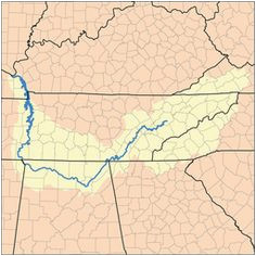 Tennessee River On A Map 116 Best Tennessee River Images Tennessee River Tennessee Girls