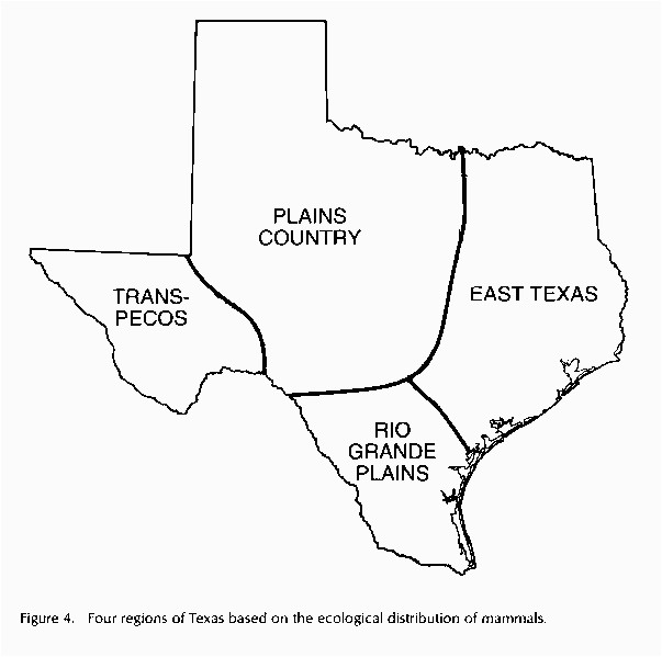 Texas Four Regions Map Let S Study Texas History Texashomeschool