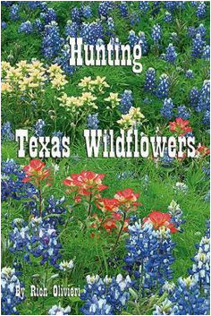 Texas Wildflower Map 13 Best Texas Wildflowers Images In 2019 Texas Texas Travel