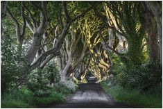 Dark Hedges Ireland Map 23 Best Dark Hedges Ireland Images In 2018