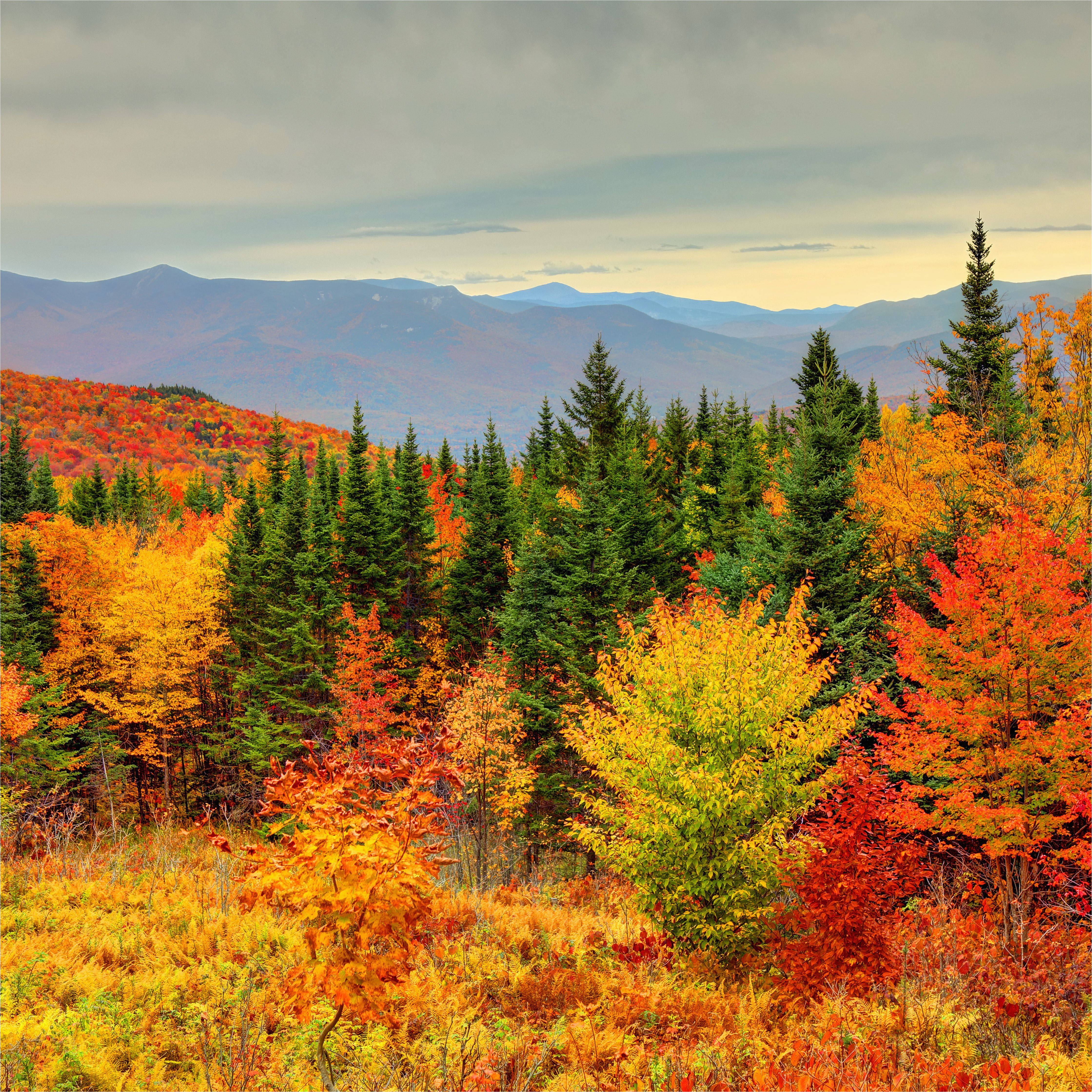 Fall Foliage New England Map How to See New England Fall Foliage at Its Peak