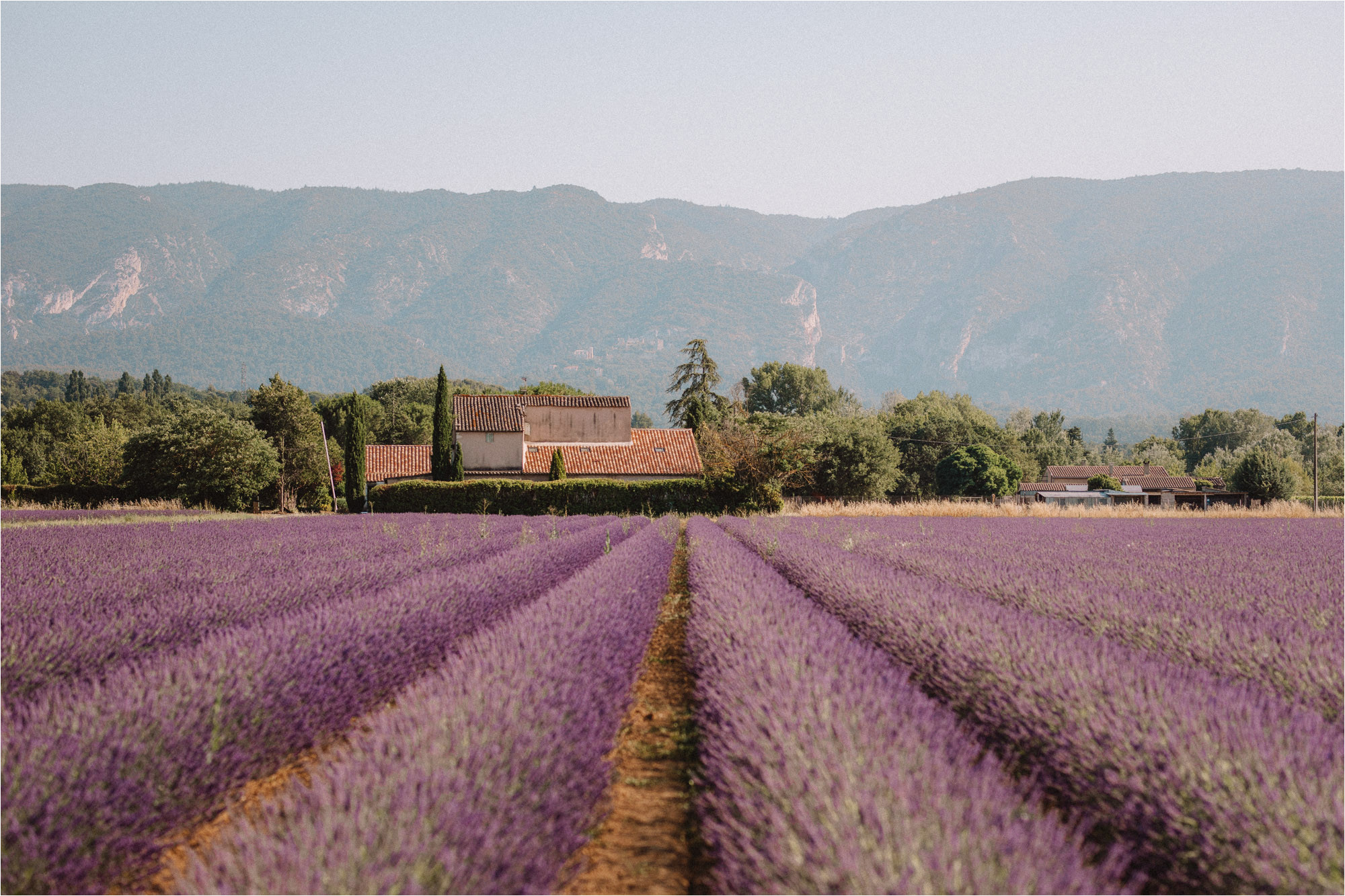 Lavender Fields France Map south Of France Provence Guide Find Us Lost