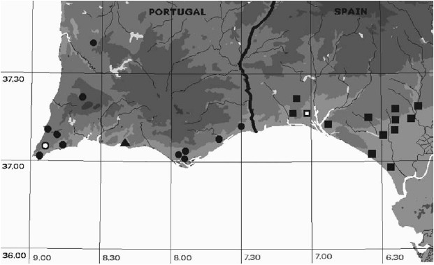 Map Of southern Portugal and Spain Sketch Map Od southern Portugal and southwestern Parts Of