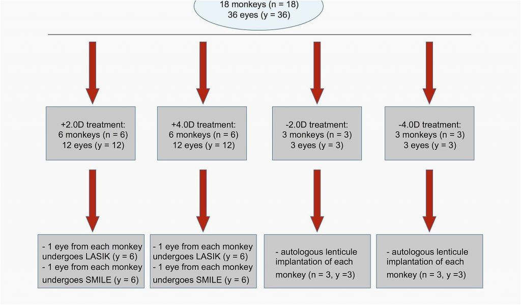 Map Of Timezones In Canada Time Zone Map Texas High Maps Custom Mexico Us Map Texas Map New Us Map Of Timezones In Canada Time Zone Map Texas High Maps Custom Mexico Us Map Texas Map New Us