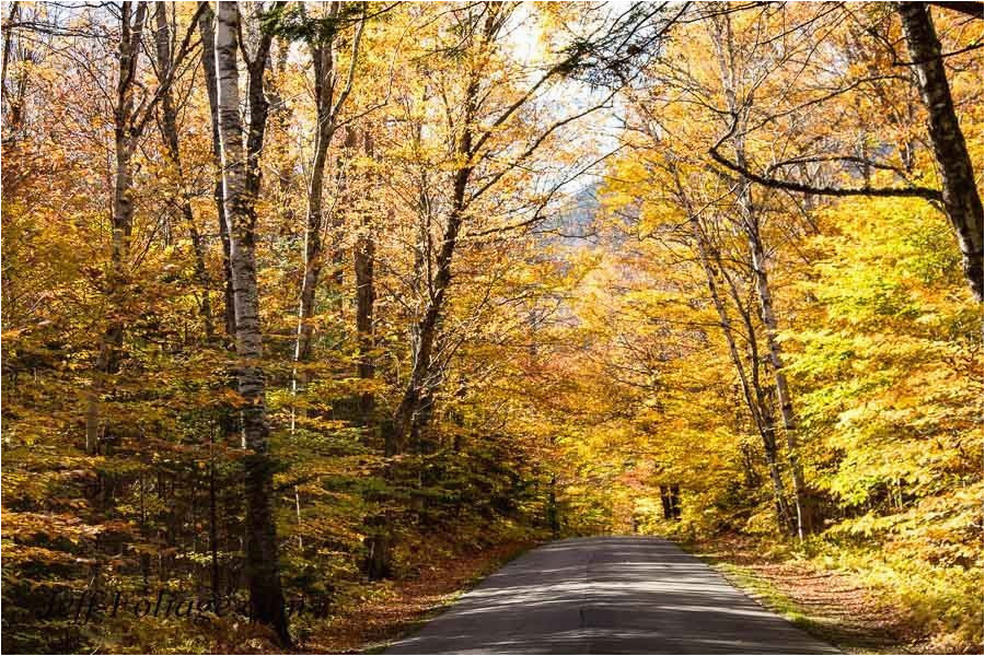 New England Foliage 2014 Map A Scenic Drive In Western Maine New England Fall Foliage