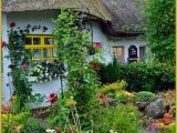 Adare Ireland Map thatched Cottage In Adare Ireland Ireland Ireland