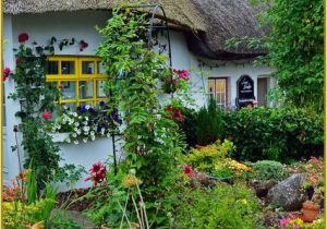 Adare Ireland Map thatched Cottage In Adare Ireland Ireland Ireland