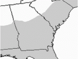 Alligators In north Carolina Map Species Profile American Alligator Alligator Mississippiensis