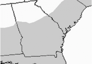 Alligators In north Carolina Map Species Profile American Alligator Alligator Mississippiensis