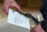 Alligators In Texas Map Colorado Gators A Haven for the Wild Lifestyle Gazette Com