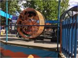 Amusement Parks In Ohio Map Knoebels Amusement Resort Elysburg 2019 All You Need to Know