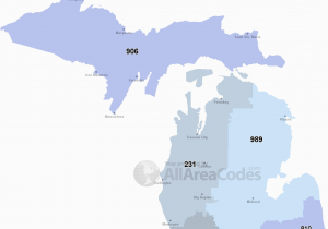 Area Code Map Michigan 313 area Code 313 Map Time Zone and Phone Lookup