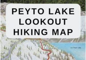 Banff Map Of Canada Peyto Lake Map Of the Overlook Hiking Trail Along the