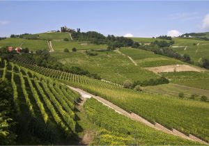 Barolo Region Italy Map Langhe Wikipedia