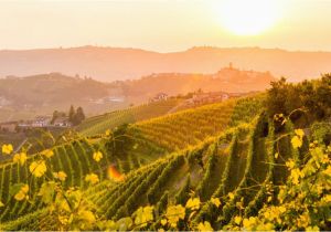 Barolo Region Italy Map Map Of Piemonte Italy Cities and Travel Guide