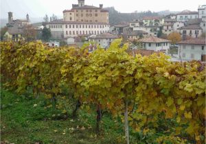 Barolo Region Italy Map Map Of Piemonte Italy Cities and Travel Guide