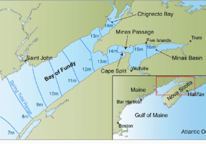 Bay Of Fundy Canada Map Map Of the Gulf Of Maine and Bay Of Fundy Showing Spring