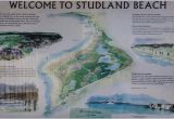 Beaches In England Map the Map Picture Of Studland Beach and Nature Reserve Studland Bay