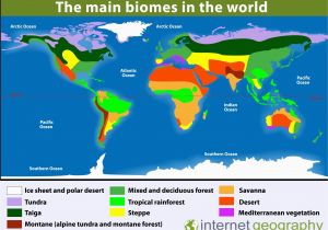 Biome Map Of Europe north America Biome Map Climatejourney org