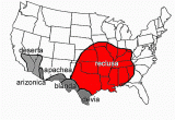 Black Widow California Map Squashing Urban Legends About the Brown Recluse Spider