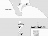 Bodega Bay California Map Map Showing Study Sites In Bodega Harbor Bod and Upper Newport Bay