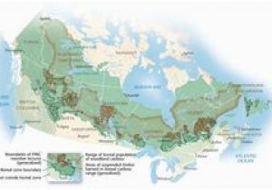 Boreal forest Canada Map 15 Best Canadian Boreal forest Images In 2012 July 11